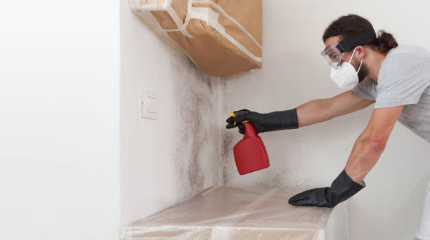 Professional Basement Mold Removal technician working in Ocean Grove, MA